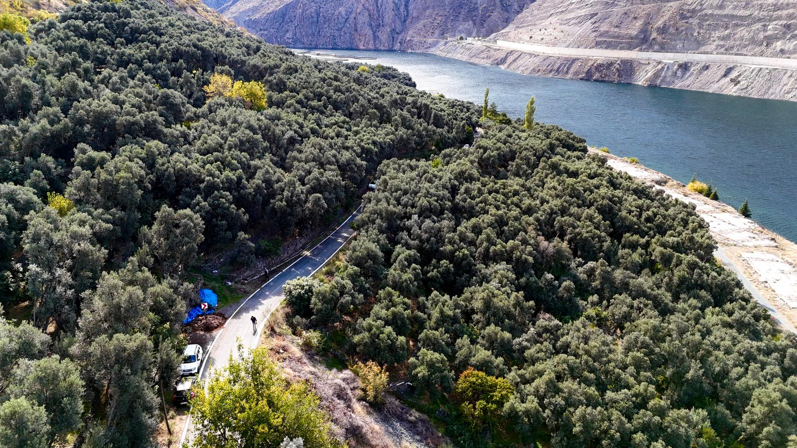 Whatsapp Image 2025 10 22 At 10.29.30