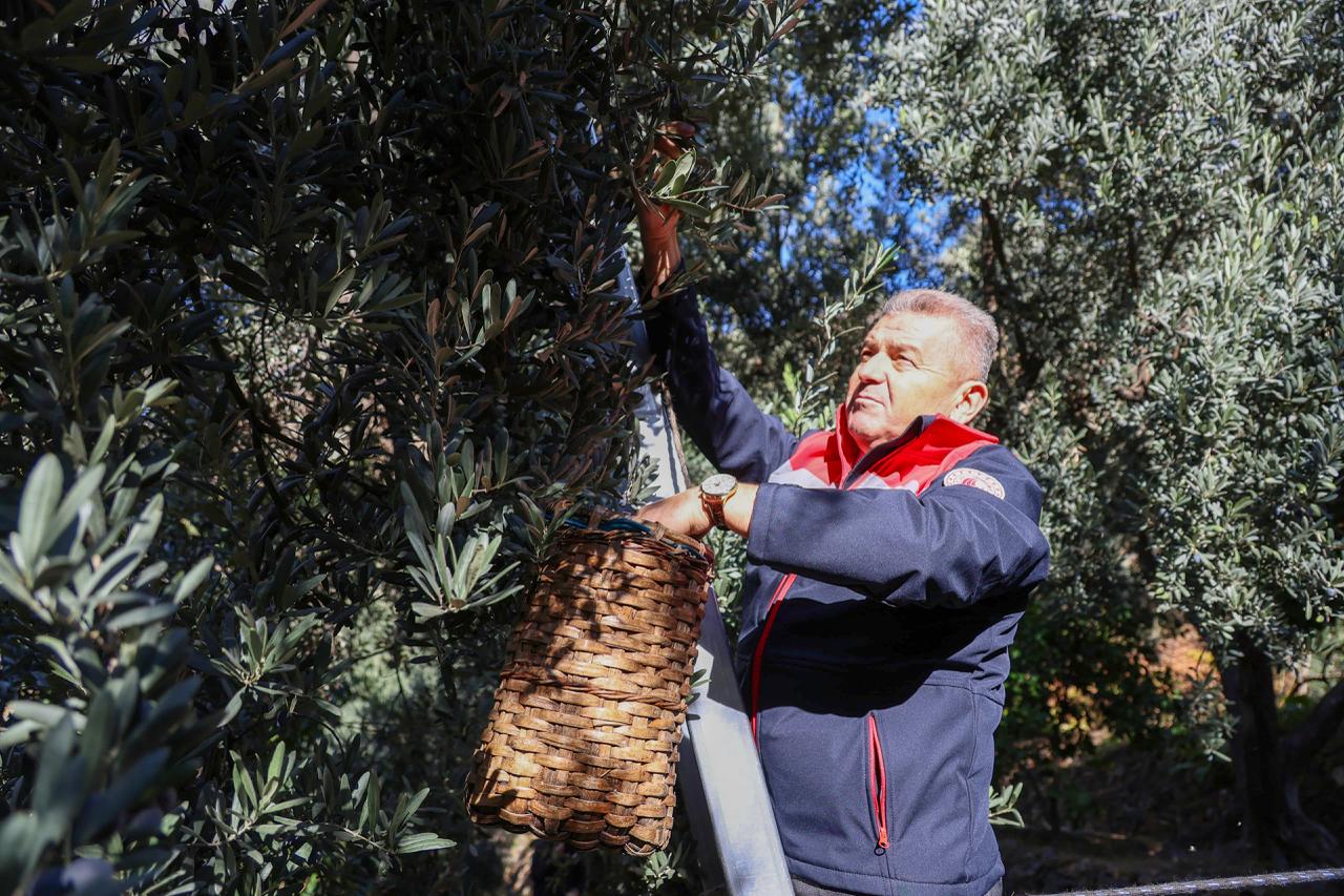 Whatsapp Image 2025 10 22 At 10.29.30 (2)