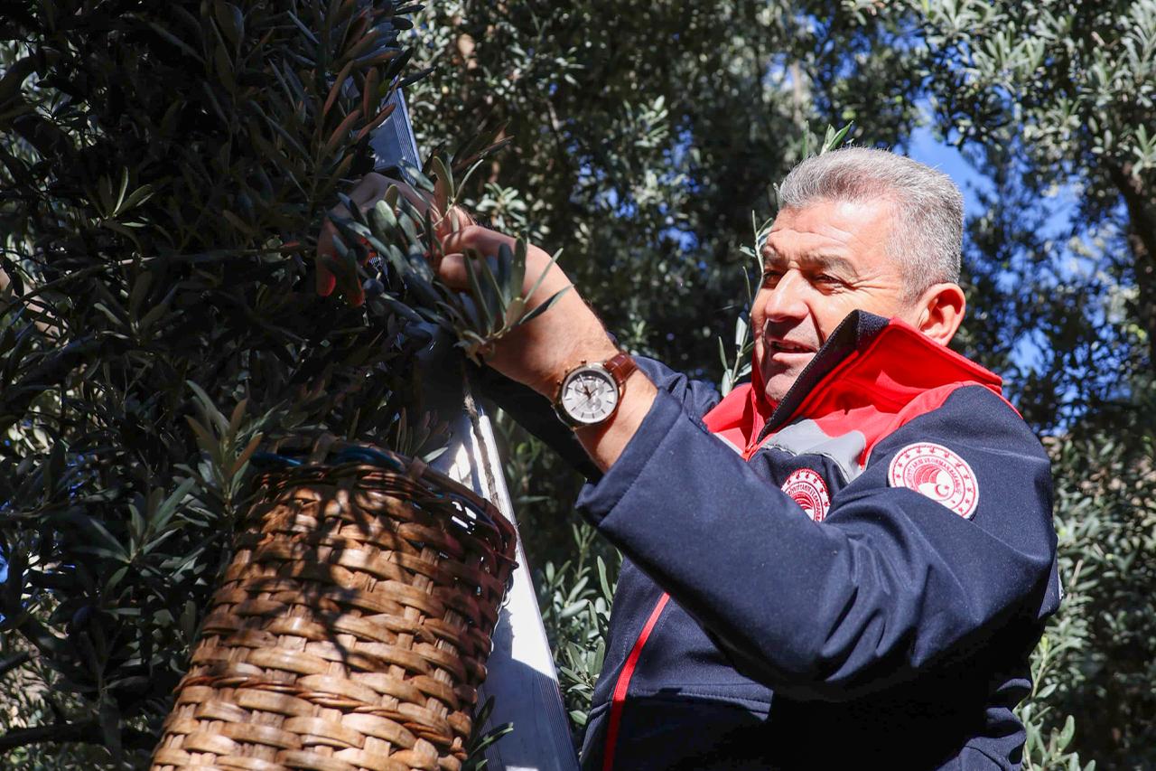 Whatsapp Image 2025 10 23 At 11.25.39 (1)