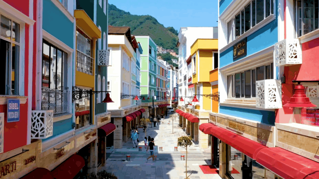 2aa8cdfc329b81d3c26c9808dbe5fc72 Orduda dis cephe seferberligi