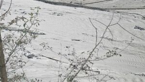 3849d9c66d71f427724aa450c5d758b1 Harsit Cayinda tehlike canlari caliyor