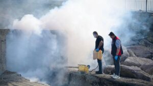 495e0e2c8f91b0057c94cec98a99576c Giresun Belediyesi sahil bolgesi menfezlerini ilacladi