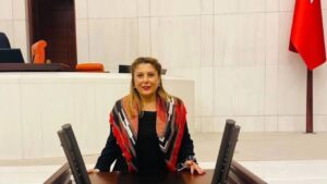 72d5b559bedc2744f99b7d9ed4f027bb Elvan Isik Gezmis Giresun hak ettigi hizmetleri alamiyor