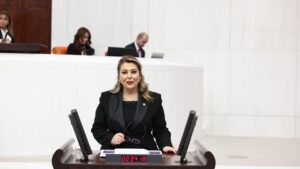 96baad8a160caf8d16c18528a9c52522 Elvan Isik Gezmis Giresunun ulasim sorunlarini sordu