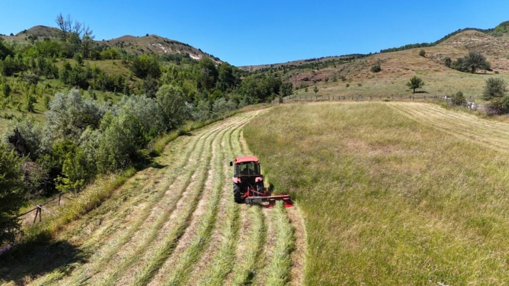 D3d97554e8c939195872539c2bbf9bb4 Turkiye 7 tarimsal urunde dunya birinciligini elinde tutuyor