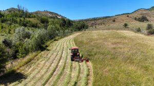 D3d97554e8c939195872539c2bbf9bb4 Turkiye 7 tarimsal urunde dunya birinciligini elinde tutuyor