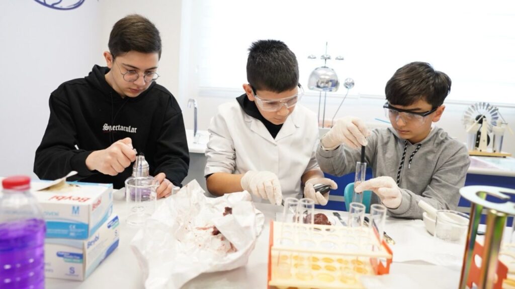 Ddb17c6a4de1d2d7b023db080560f43f BILSEM Ogrenci Tanilama ve Yerlestirme Kilavuzu yayimlandi